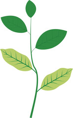 Scientific infographic designed to explain nutrient deficiency effects on crop health and leaf development.