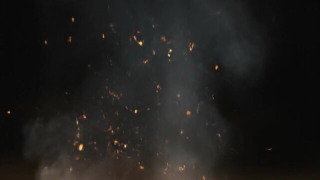 Fireworks Explosion at Night with Sparks.