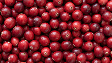 Fresh Cranberries Full Frame Background Vibrant Red Berry Texture