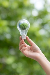 hand holding a light bulb with a green earth inside, a sustainable energy concept on a blurred nature background.