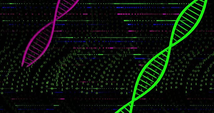 On glitch sweep, green helix pulsing and drifting, magenta helix tilting, binary waves showing data