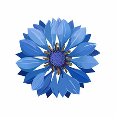 Fototapeta premium Blue flower with large petals and a round center is displayed on a plain background during daytime