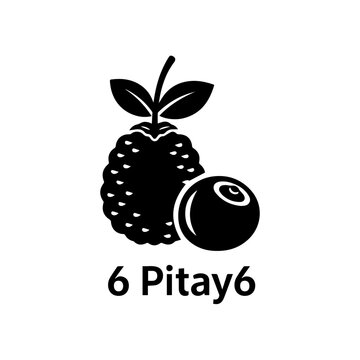 Black and white illustration of two pitayas with leaf and text annotation