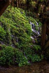 Obraz premium A quiet stream flowing between the emerald green rock walls