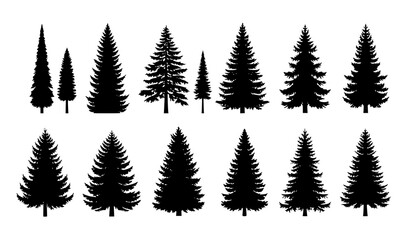Spruce and pine tree silhouette icon set for forest and winter landscape design isolated on white © Wahida