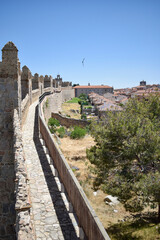 Fototapeta premium Panoramic View of Ávila City Walls and Historic Buildings