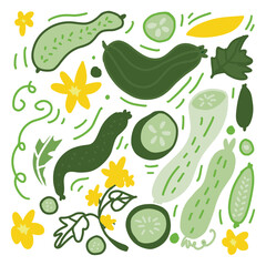 Flat vegetable illustration featuring cucumbers, leaves, and flowers in a lively hand drawn style. Vector artwork suitable for organic food branding and kitchen decor.