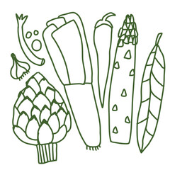 Minimal hand drawn vegetable set featuring asparagus, artichoke, and zucchini in green outline style. Clean vector illustration ideal for organic food branding and kitchen projects.