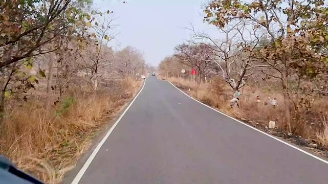 A scenic curved asphalt road passing through a dry forest landscape with leafless trees and golden grass. The empty countryside highway stretches uphill under a clear sky, captured from a moving vehic