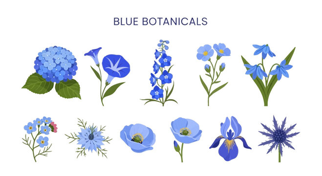 Illustration of ten different blue botanical flowers on a white background