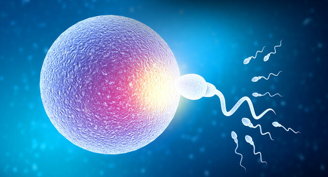 Detailed 3D microscopic rendering of multiple sperm cells migrating toward a glowing egg cell during the moment of fertilization.