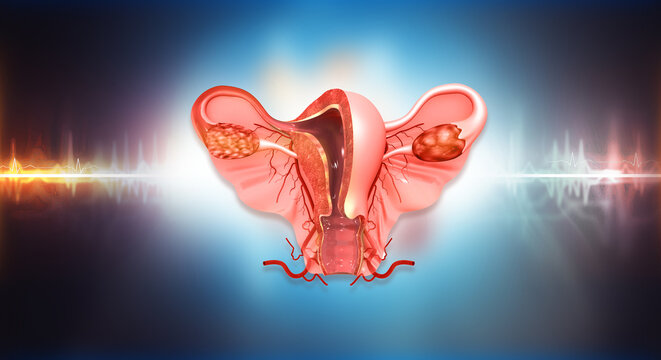 Detailed 3D anatomical model of the human uterus, fallopian tubes, and ovaries presented on a professional abstract medical background.