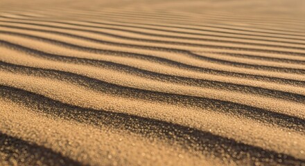 Golden wheat field texture close-up with sunlight shadows and natural grain patterns