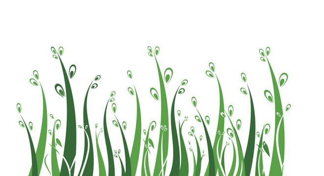 Artistic illustration of long green grass blades or plant sprouts with decorative elements on a plain white background.