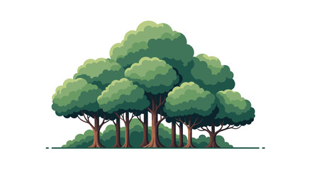 Dense group of lush green leafy trees with thick brown trunks growing together in forest on white background for nature concept.