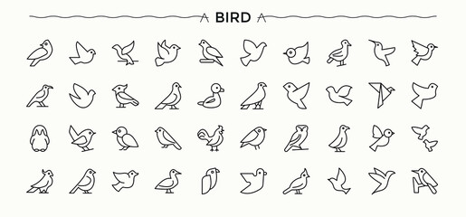 Bird linear icon collection. Minimal icons set. Vector illustration in modern line style. Wildlife icon set. Containing nature, wildlife, fly and more.