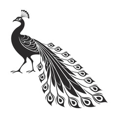 Fototapeta premium Black peacock vector illustration