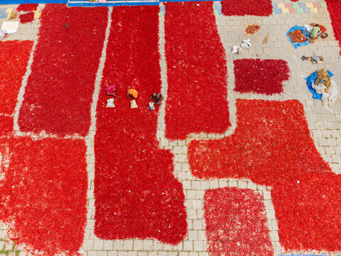 Bogura, Bangladesh - 28 February 2025: Aerial view of vibrant red chili peppers spread across the ground, creating a mesmerizing pattern amidst the workers.