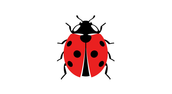 Red ladybug with black spots insect.