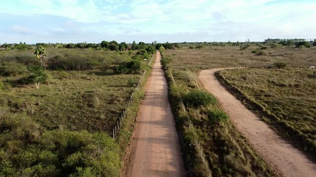 Uma estrada rural 