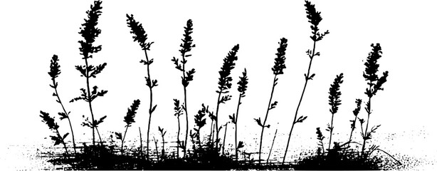 Alpine meadow grass tufts in high contrast stencil style for design projects