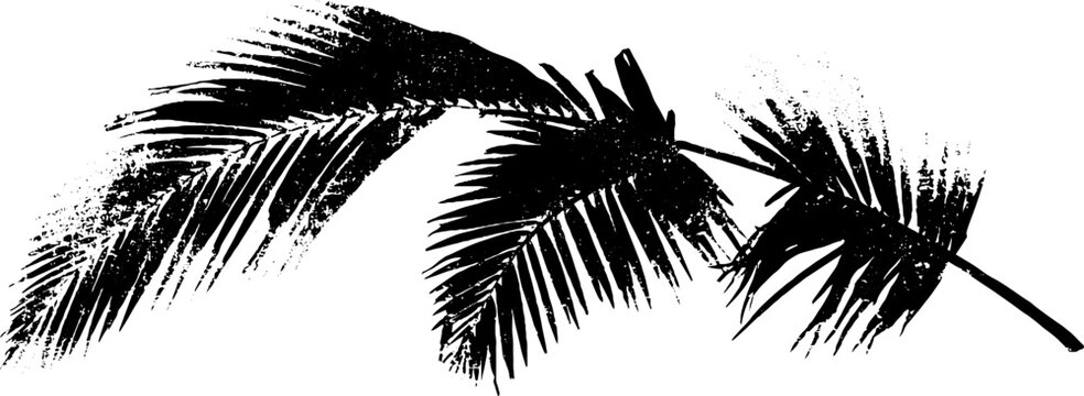 Tropical grunge palm leaf design in stencil style for creative projects