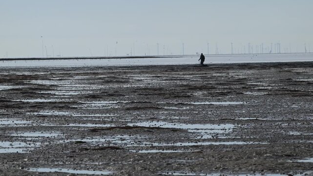 collector of marine animals to use as bait, bait, fisherman, lagoon, low tide, sea, Texel Island, North Sea, Netherlands