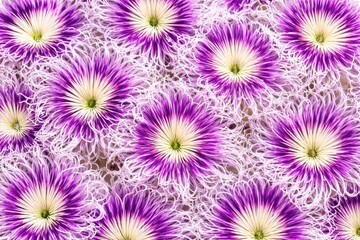 Obraz premium Passion Fruit Flower Radial Texture. Intricate macro view of a passion fruit blossom. Complex purple and white filaments filling the frame in a radial edge to edge pattern.