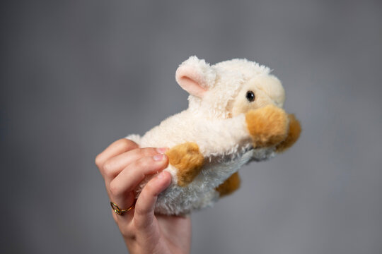 petite peluche de mouton en vol dnas la main d'une jeune femme
