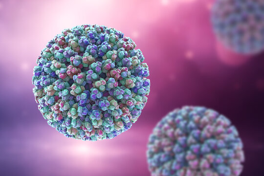 Bluetongue virus virion, 3D illustration