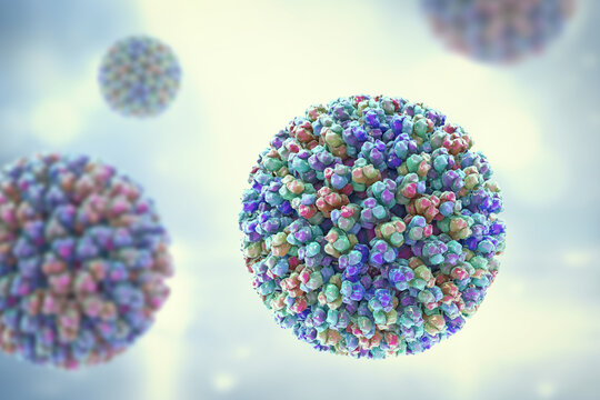 Bluetongue virus virion, 3D illustration