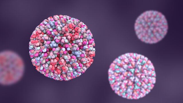 Bluetongue virus virion, 3D illustration
