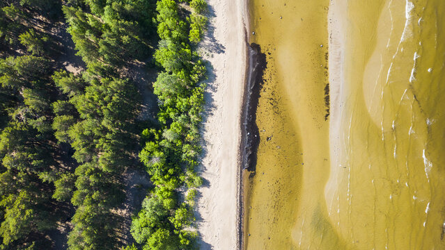 Aerial view of where the stark contrast of the lush forest meets the sandy beach and shallow waters, Parnu, Parnu County, Estonia.