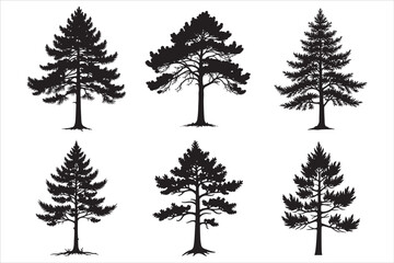 Obraz premium Six black pine tree silhouettes on white background 1