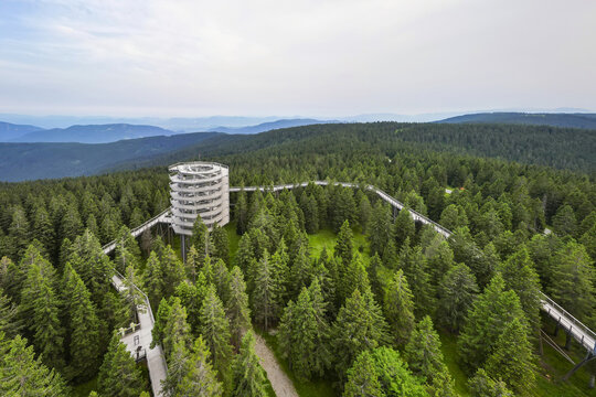 Aerial view of a tall observation tower amidst a dense forest, with winding elevated walkways providing stunning views of the landscape, Rogla, Slovenske Konjice, Slovenia.