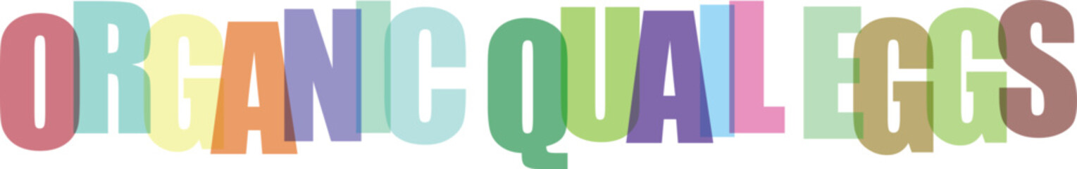 Colorful text letters organic quail eggs typography © Mim