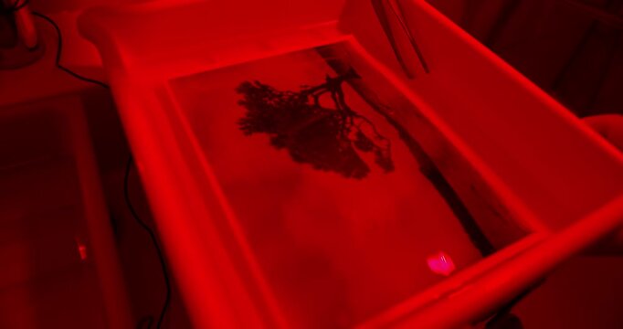 Professional darkroom photo printing with print fixing for image permanence and archival stability