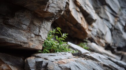 Fototapeta premium Close-Up of Natural Rock Formation Showcasing Resilient Green Plant Life Growing Between Stones in Rugged Landscape