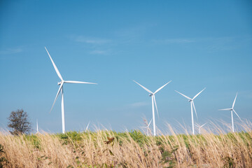 Wind turbine row in a sustainable wind farm in the dried agricultural grass fields under the clear blue sunny sky in rural Thailand, mixed land use for local vegetation and modern clean technology