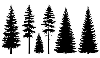 Fototapeta premium Realistic pine and spruce tree silhouettes vector set isolated on white