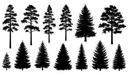 Obraz premium Realistic pine and spruce tree silhouettes vector set isolated on white