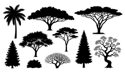 Detailed tree silhouettes vector set from various climate and natural zones © Crafts Home