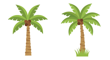 Two stylized palm trees with coconuts against a white background