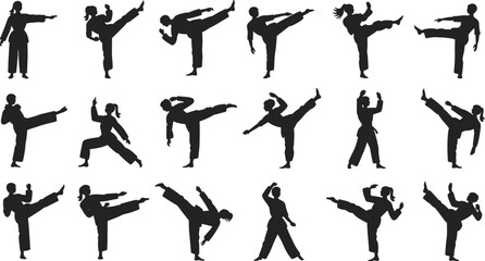 Martial arts silhouettes of fighters performing karate and taekwondo kicks, stances, defensive blocks, combat techniques, sports illustration design collection © MdAnisur