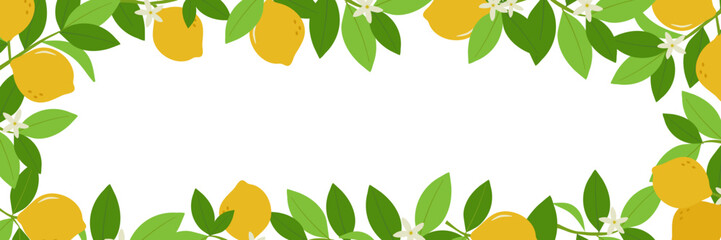 Horizontal banner with frame of lemon branches, leaves and flowers. Citrus frame template. Vector illustration. © Olena Dumanchuk