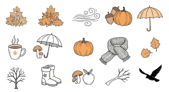 Cozy Autumn Essentials Hand-Drawn Vector Collection A Delightful Set of Fall Season Elements Including Leaves, Pumpkins, Scarves, and More for Your Creative Projects