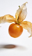 Golden cape gooseberry with delicate papery husk against a clean white background