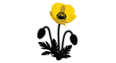 A striking illustration of a vibrant yellow poppy flower with dark accents © msunny93