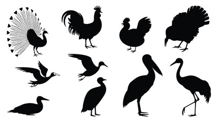 Obraz premium Nine bird silhouettes on white background black birds