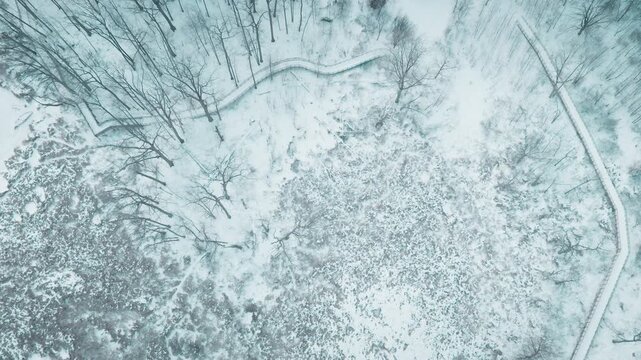 Aerial view of snow-covered frozen wetlands in winter solitude